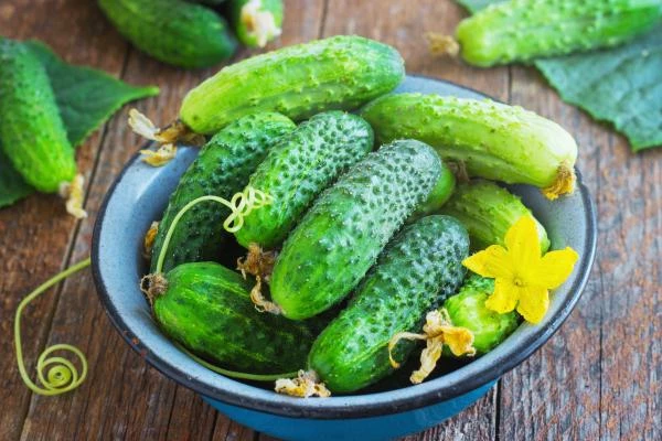 Canada's December 2023 Export of Cucumbers and Gherkins Declines by 3% to $35M